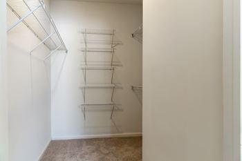 A white wall with a shelf and a carpet.